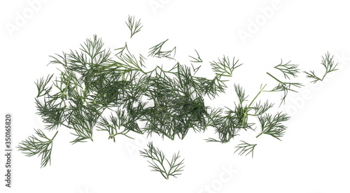 Fresh green chopped up dill pile isolated on white background  top view