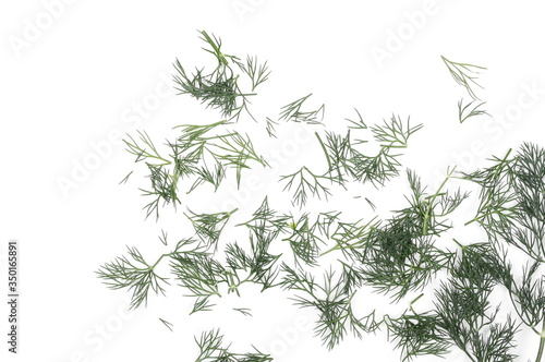 Fresh green chopped up dill pile isolated on white background, top view