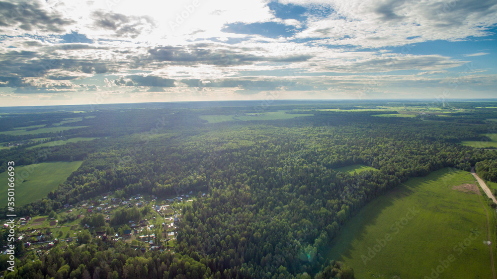 Fototapeta premium village and forest from a bird's eye view