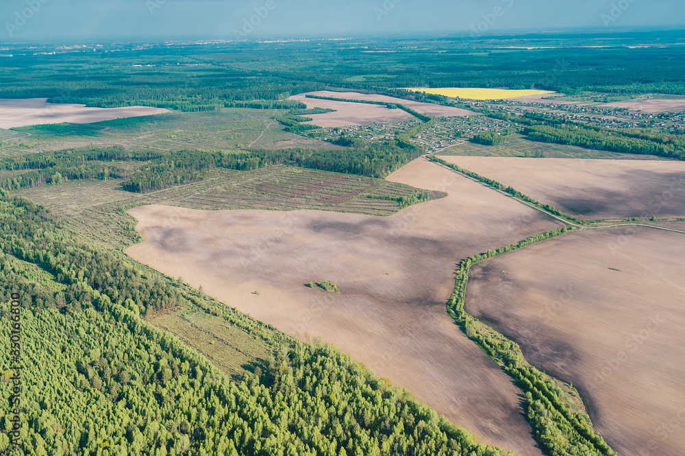 Aerial view of summer field and trees Aerial view of summer field and trees