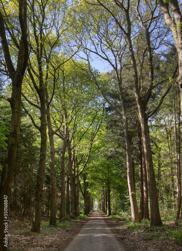 Landscapes and lanes at Maatschappij van Weldadigheid Frederiksoord Drenthe Netherlands. Panorama