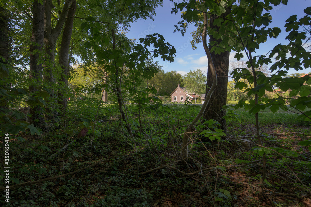 Historic colonial house. Koloniehuisje. Maatschappij van weldadigheid Frederiksoord Drenthe Netherlands Historic colonial house. Koloniehuisje. Maatschappij van weldadigheid Frederiksoord Drenthe Netherlands