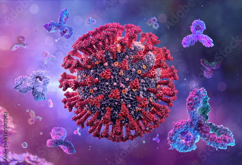 Antibodies immunoglobulins attacking coronavirus covid-19 influenza virus cell, 3D immune system medical illustration background. Corona virus 2019-ncov sars cell, igm. Coronavirus sars-cov-2 disease photo