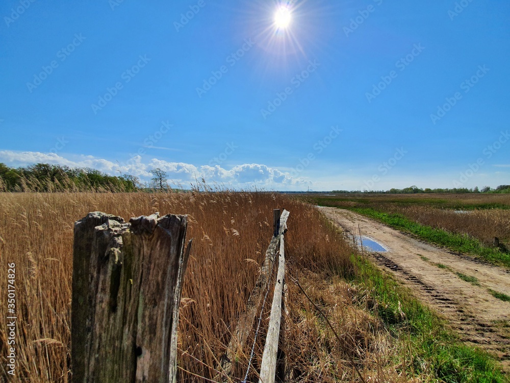 Fototapeta premium fence in the field