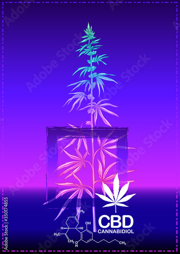 Hemp, Cannabis plant. Template, poster, card, good for product label. Vector illustration in neon, fluorescent colors