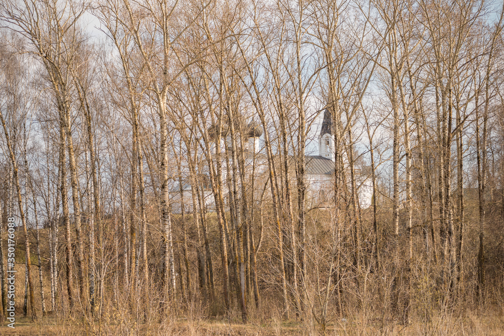 temple Church on the hill through the trees temple Church on the hill through the trees