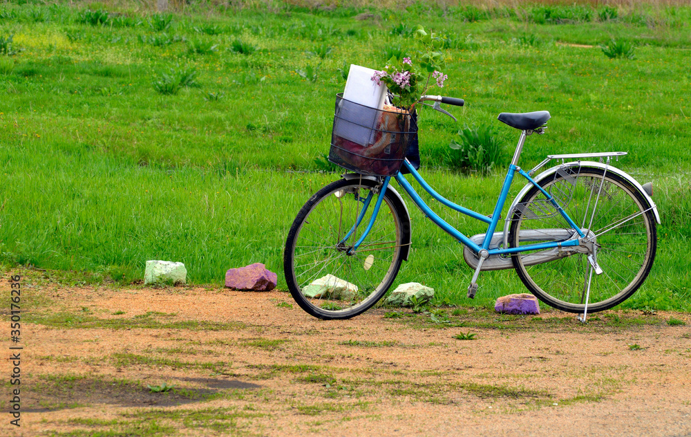Blue bicycle with a basket and flowering branches of lilac on background of grass on a summer day. Copy space
