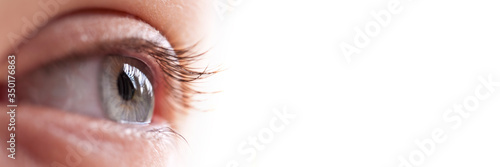 Close-up of a natural eye  isolated on panoramic white background, vision web banner with copy space photo