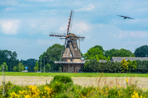 Countryside landscape with Dutch windmill, Oerle, Veldhoven, North Brabant, Netherlands