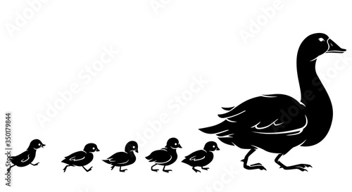 Duck and Duckling, Walking Silhouette