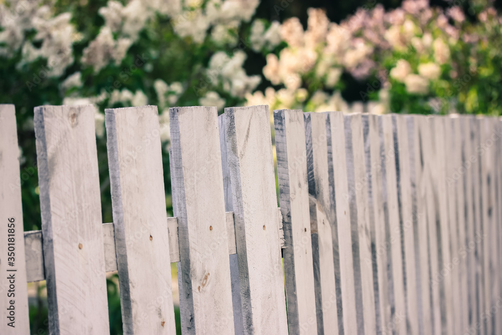 White wooden fence against the background of a garden and blossoming bushes in summer, life in a country house on vacation White wooden fence against the background of a garden and blossoming bushes in summer, life in a country house on vacation
