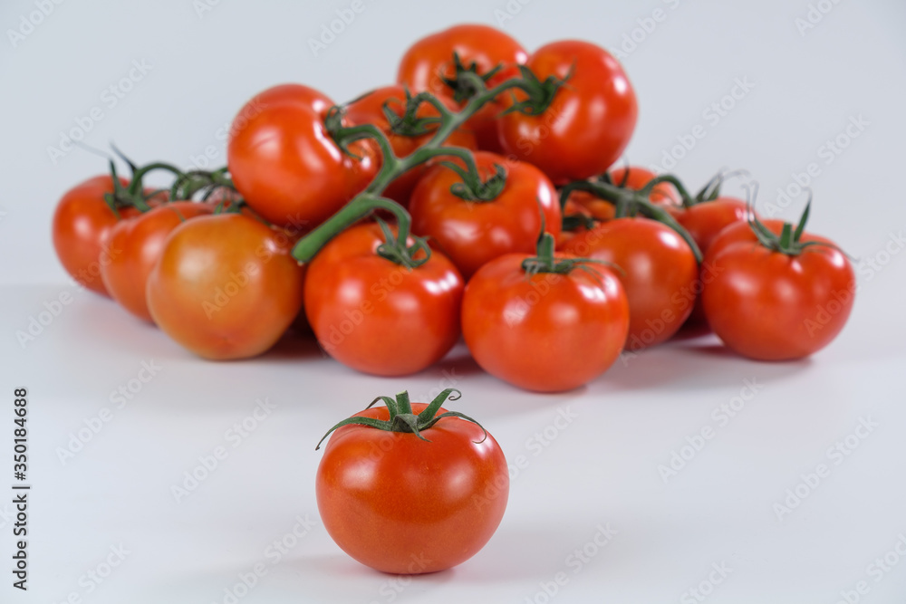 Eine Menge frischer roter Tomaten und davor eine einzelne saftige Tomate auf weißem Hintergrund
