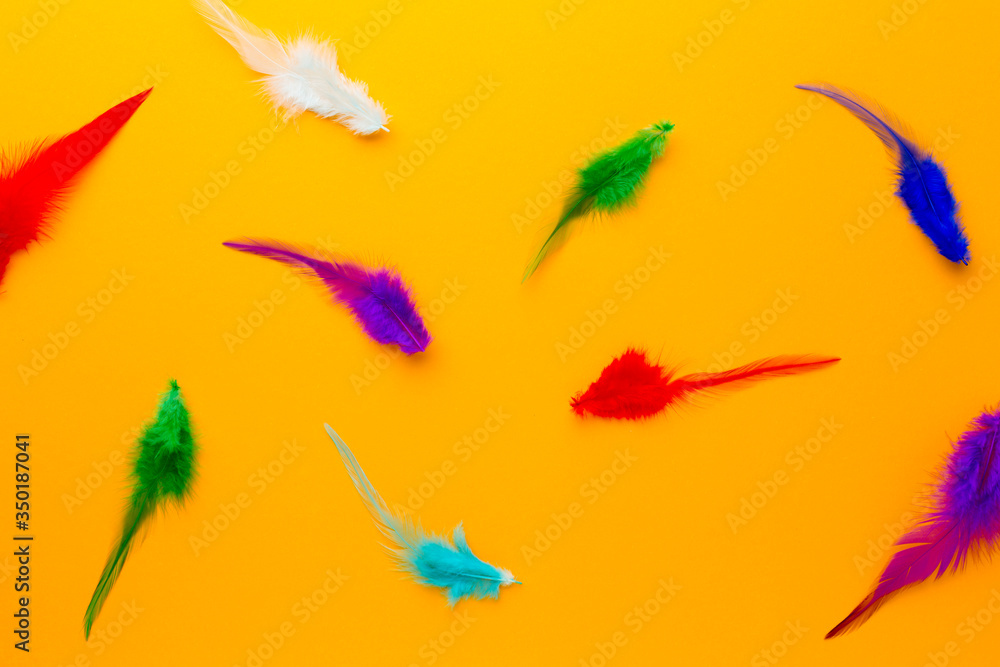 Top view colorful mixture of feathers Top view colorful mixture of feathers