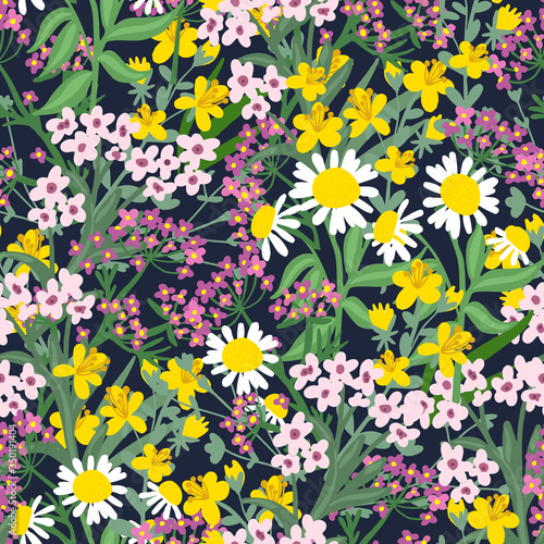 Fényképezés Colorful and stylish small booming floral and meadow flowers seamless pattern
