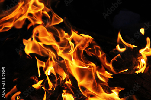 Blaze burning fire flame on the black background