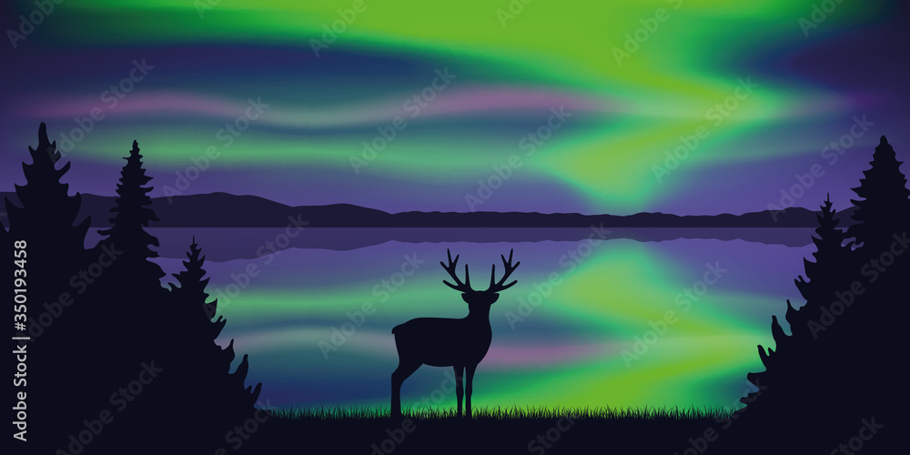 wildlife deer by the lake with beautiful polar lights in the sky vector illustration EPS10