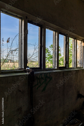 Fototapeta Naklejka Na Ścianę i Meble -  Ausblick aus kaputten Fenstern.