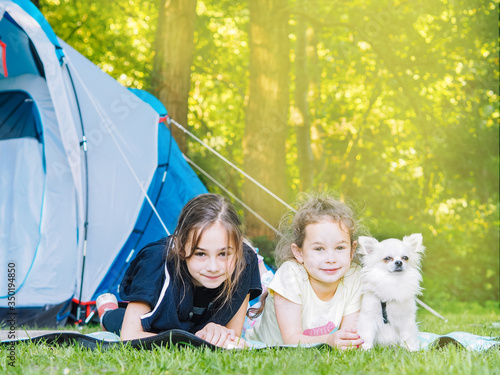 Camp in tent with children - girls sisters with little dog chihuahua sitting together near tent. Travelers sit in summer forest. Traveling with kids. Camping outdoors tourism and vacation concept