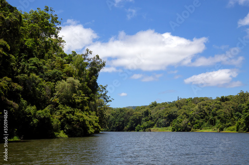 The tranquil Barron River with blue sky and green rainforest near Kuranda in Tropical North Queensland  Australia