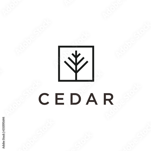 pine with square logo design vector silhouette illustration