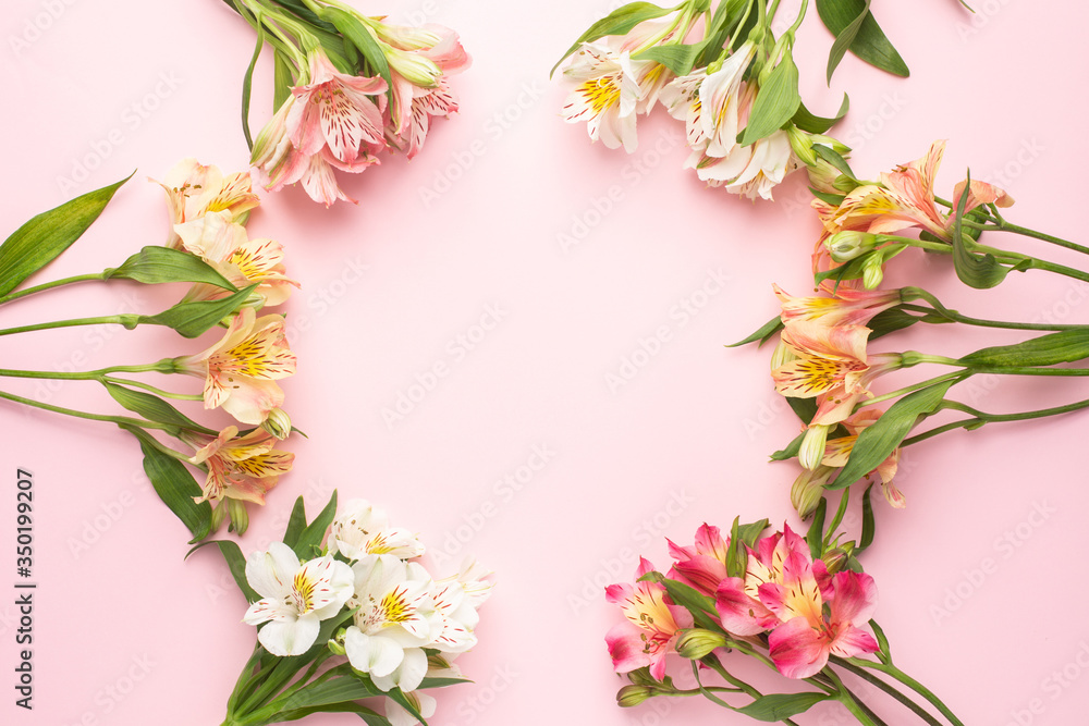 Yellow and pink flowers Alstroemeria on a pink background with copyspace