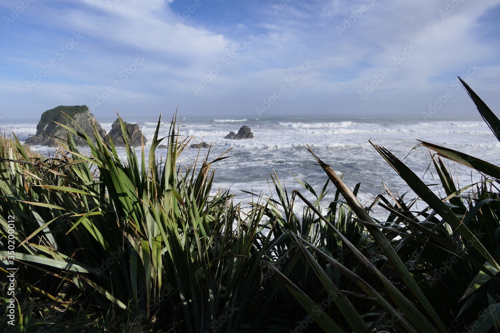 Beautiful wild coast of the Tasman Sea between Australia and New Zealand with coastal plants, waves and cliffs