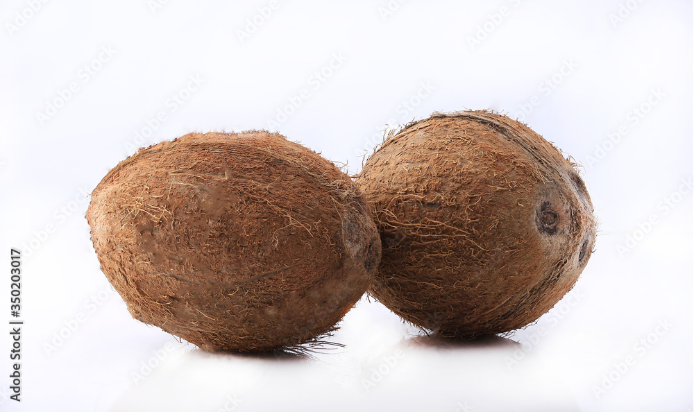 coconut shot on a white background coconut shot on a white background