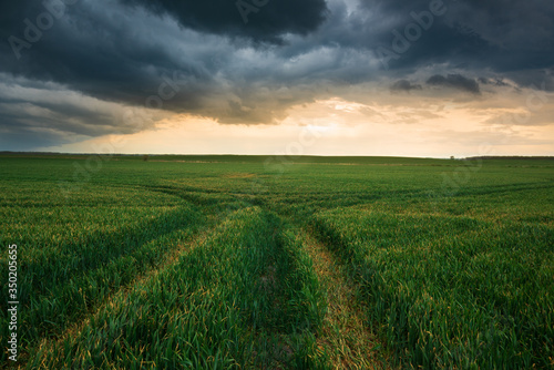 Storm clouds   dramatic dark sky over the rural field landscape