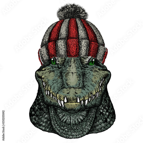 Alligator. Crocodilia. Portrait of african animal. Knitted wool winter hat.