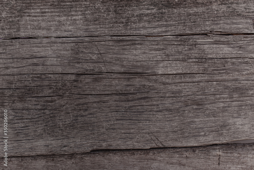 Fototapeta premium Beautiful old wood background. Vintage background with wood texture. Wood background with space for text.