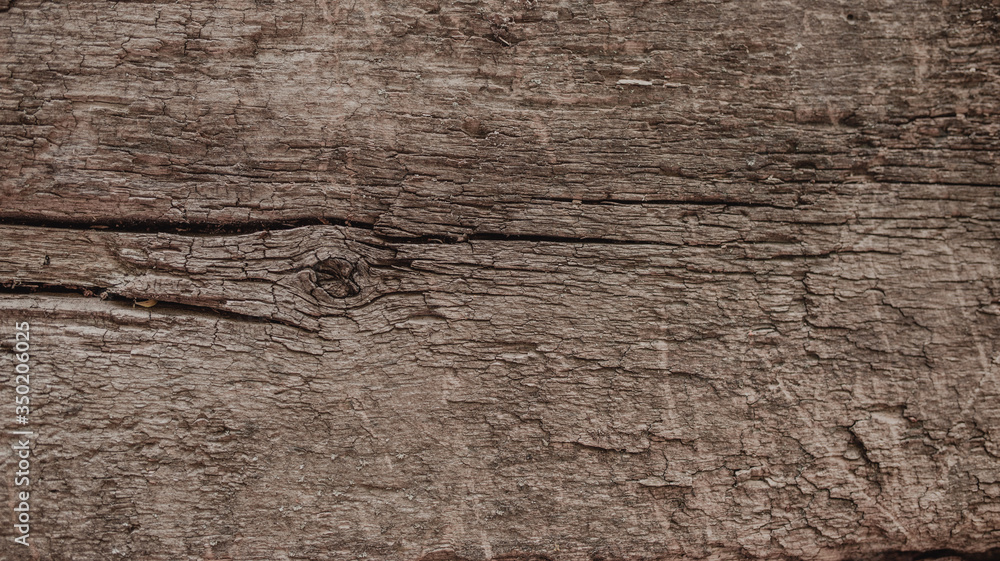 Fototapeta premium Beautiful old wood background. Vintage background with wood texture. Wood background with space for text.