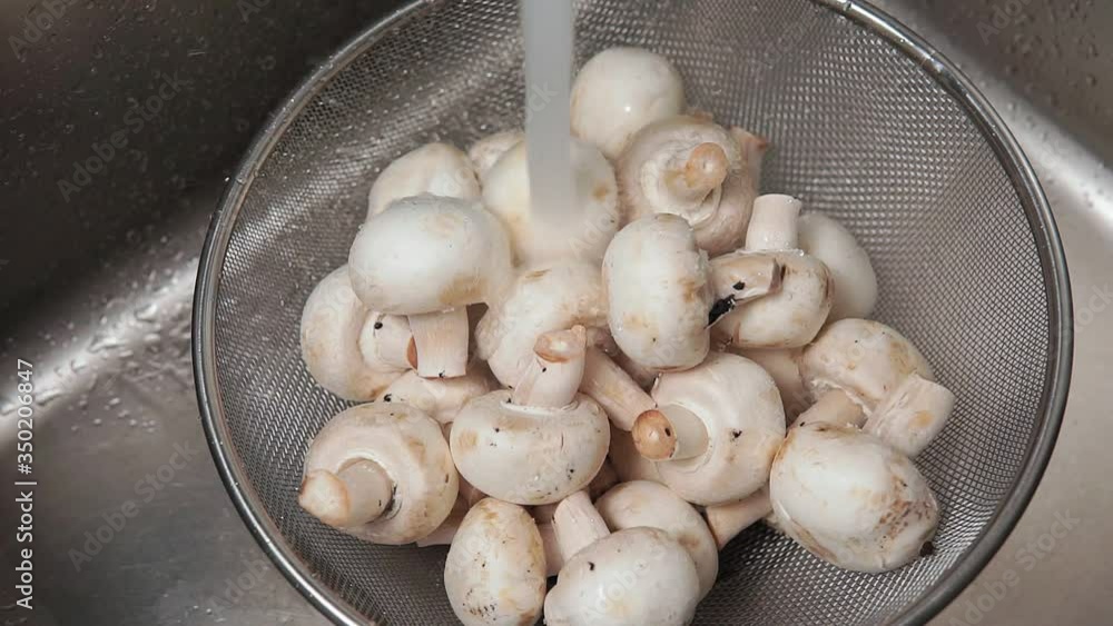 wash dirty mushrooms. preliminary processing in the production of pickling wash dirty mushrooms. preliminary processing in the production of pickling