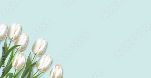 Realistic white tulips set, white color, hello spring, womens day, beautiful flowers, spring card vector, sale banner, floral background