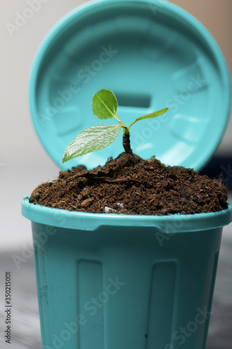 Trash bin filled with earth. It grows a green sprout. World Environment Day.