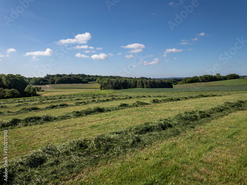 Heuernte in der Eifel