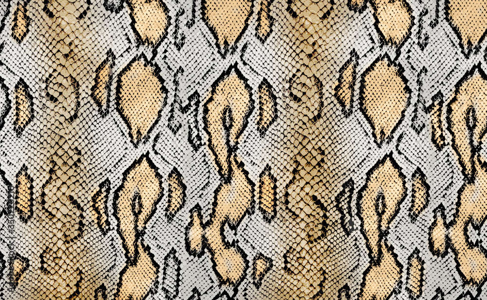 snake texture, python texture, animal print Stock Photo | Adobe Stock