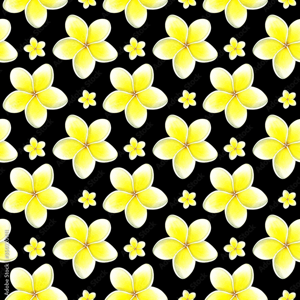 Seamless watercolor tropical pattern with white yellow plumeria flower on black background. Hand drawn floral colorful print for design wrapping paper, textile, fabric, scrapbooking
Seamless watercolor tropical pattern with white yellow plumeria flower on black background. Hand drawn floral colorful print for design wrapping paper, textile, fabric, scrapbooking