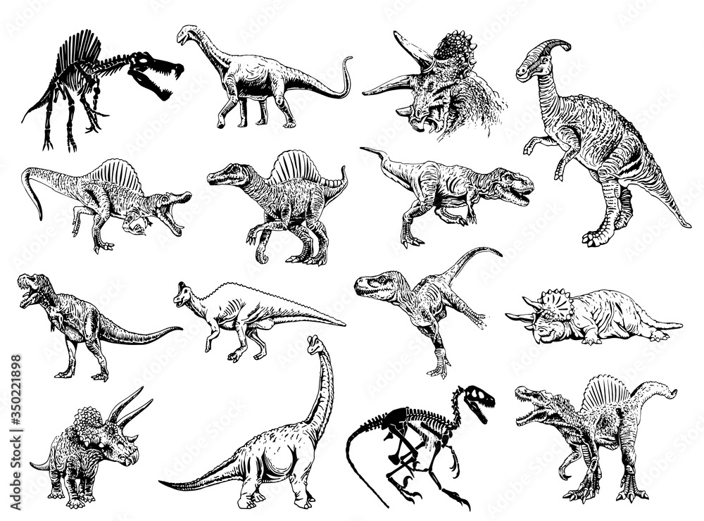 Graphical set of dinosaurs isolated on white background, vector ...