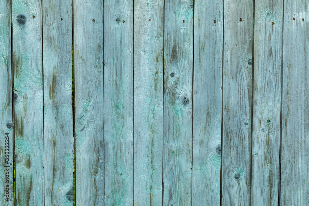 Wooden background of old grey and blue -painted boards. The paint cracked and circled from old age. Bare boards are visible in places Wooden background of old grey and blue -painted boards. The paint cracked and circled from old age. Bare boards are visible in places