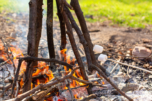 Fototapeta Naklejka Na Ścianę i Meble -  Camping bonfire, frying marshmallows at the stake