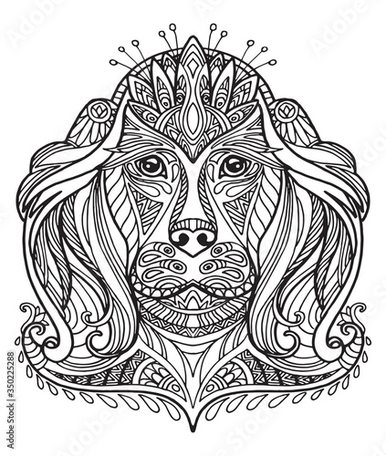 Vector coloring dog