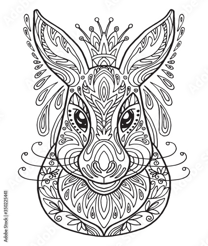 Vector coloring hare