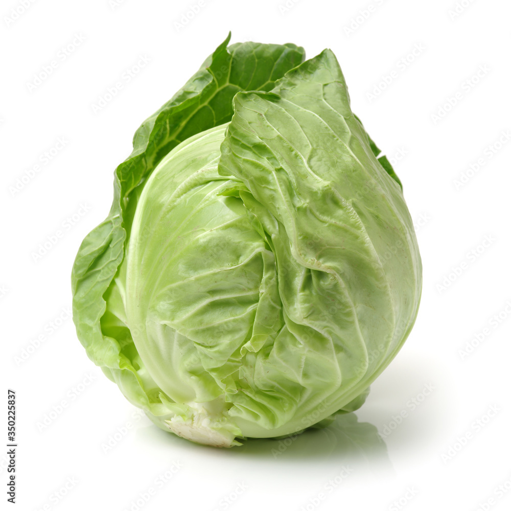 cabbage on white background cabbage on white background