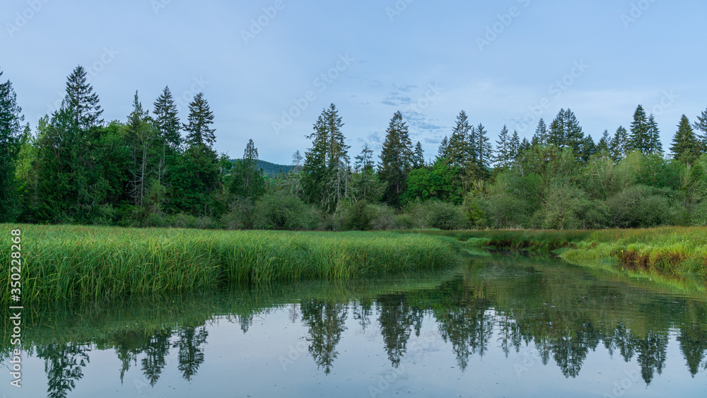 Fototapeta premium Kennedy Creek, Shelton Washington