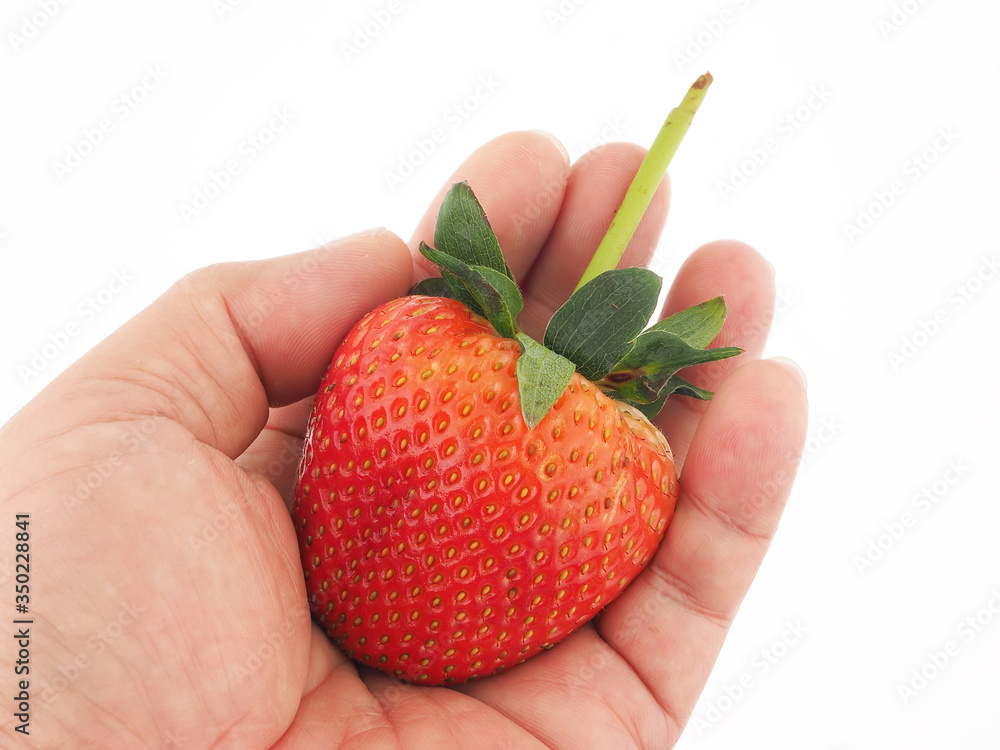 Obraz premium strwaberry in hand on white background