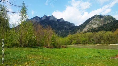 mountain landscape with trees