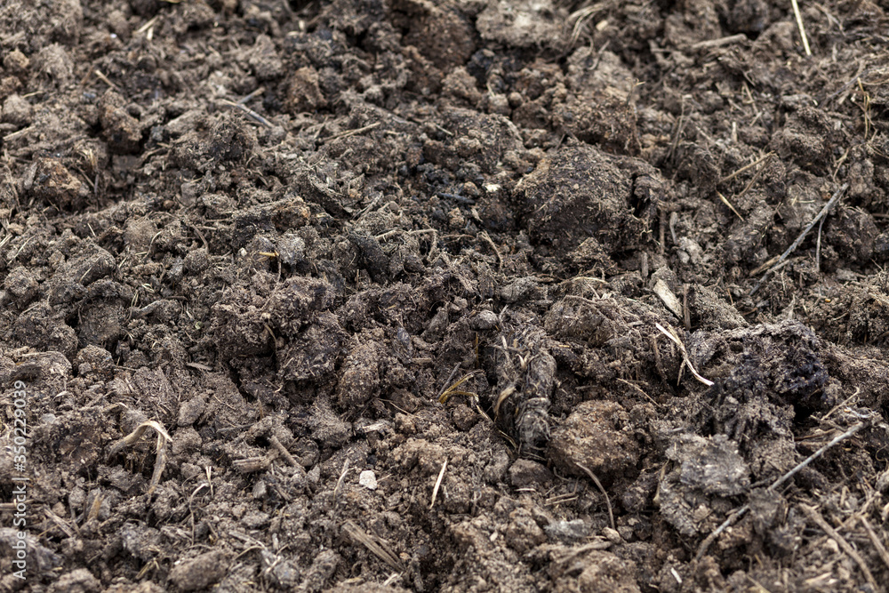 The earth is fertilized with humus, fertilizers for the soil-humus. The earth is fertilized with humus, fertilizers for the soil-humus.