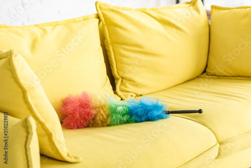 Yellow sofa with colorful feather duster in living room