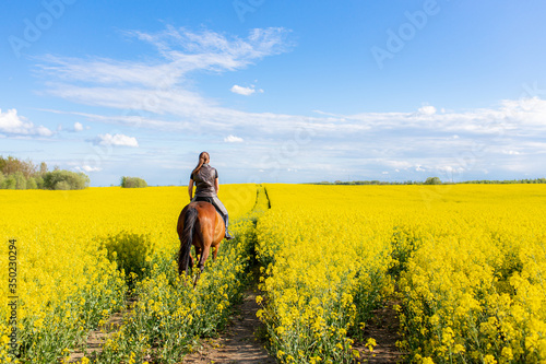 Young woman riding on a brown horse in yellow rape or oilseed field with blue sky on background. Horseback riding. Space for text