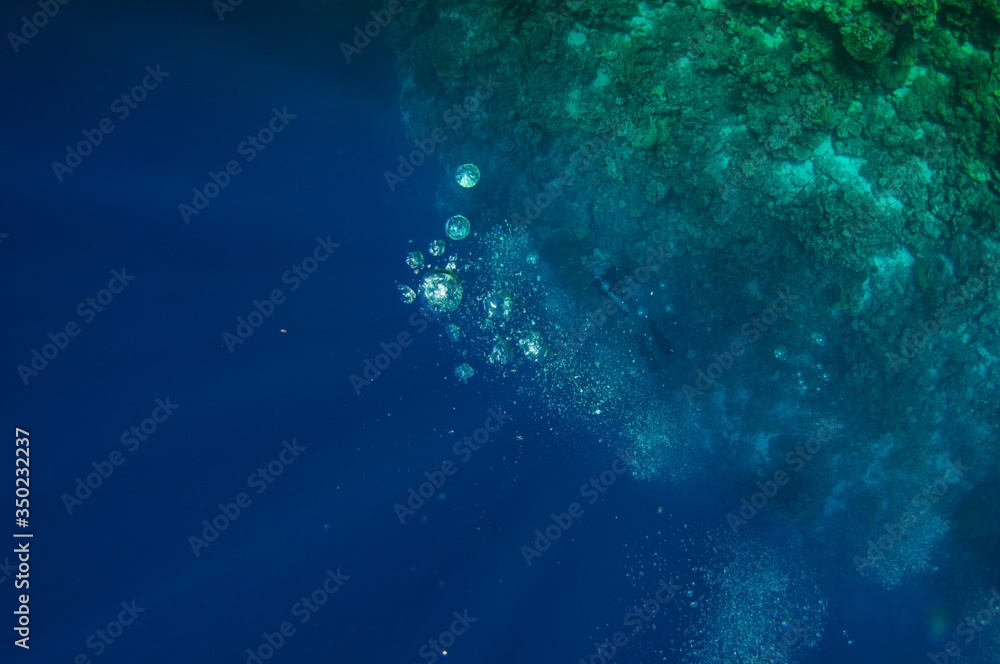 Top view on scuba divers group swimming who exploring deep dark ocean blue water near a coral reef. Male and female in flippers examines the seabed. Dive. Active life. Shot through air bubbles.